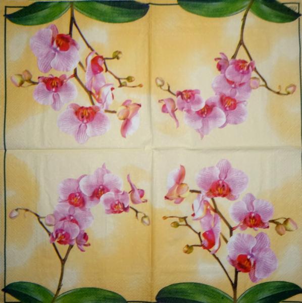 027 Orchideen - 3-lagig (gelb) - Ihr